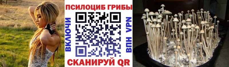 Галлюциногенные грибы GOLDEN TEACHER  Купить закладки  Лангепас 
